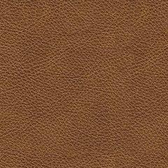 Carianna Loveseat - Peak Furniture (CO) 