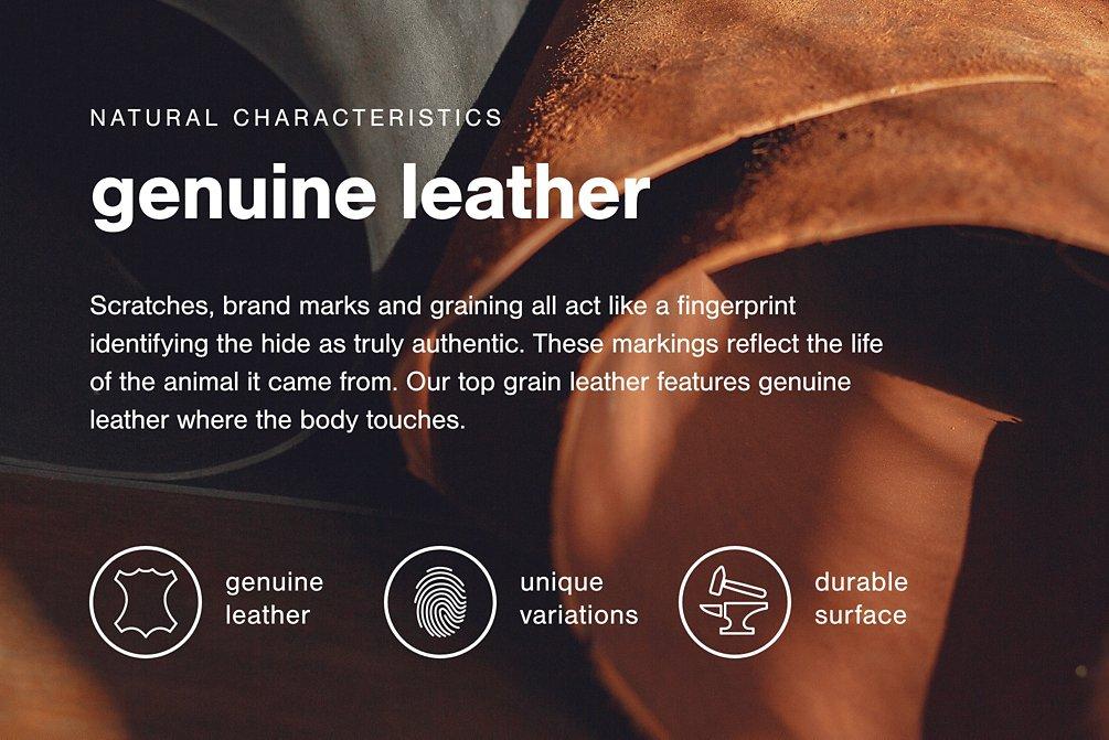 Carianna Sofa Sleeper - Peak Furniture (CO) 