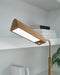 Yafe Desk Lamp - Peak Furniture (CO) 